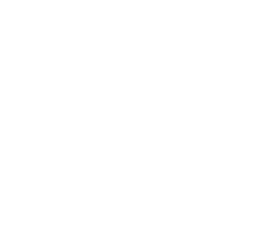 Pic’n Flow